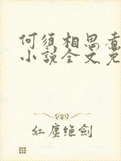 何须相思煮余年小说全文免费阅读