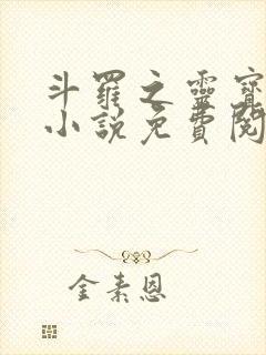 斗罗之灵宝斗罗小说免费阅读封面