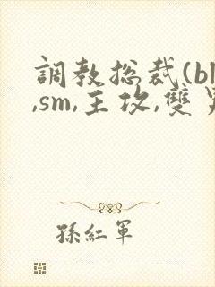 调教总裁(bl,sm,主攻,双男)