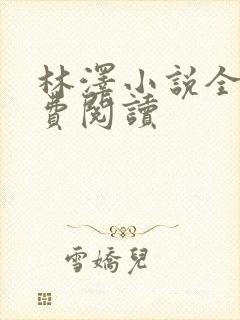 林泽小说全集免费阅读