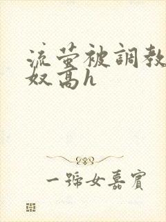 流萤被调教成肉奴高h