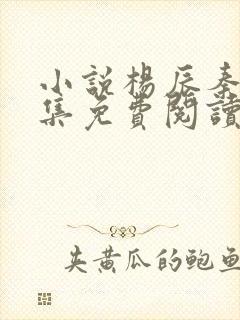 小说杨辰秦惜全集免费阅读