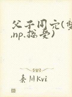 父子同穴(双性,np.总受)封面