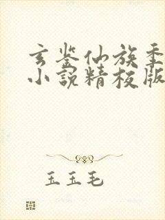 玄鉴仙族季越人小说精校版全集txt