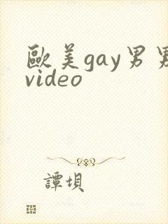 欧美gay男男video
