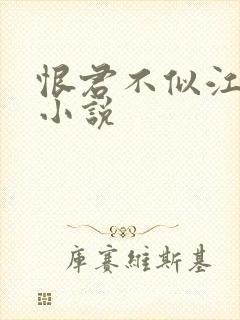 恨君不似江楼月小说