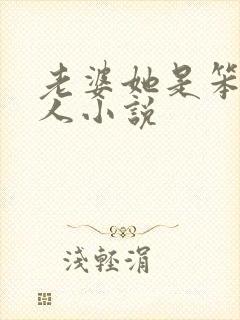 老婆她是笨蛋美人小说