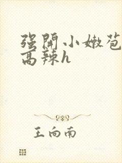 强开小嫩苞h文高辣h