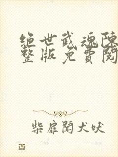绝世武魂陈枫完整版免费阅读