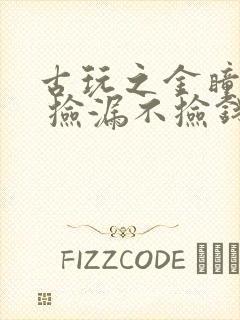 古玩之金瞳鉴宝 捡漏不捡钱