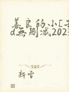 善良的小[子hd无删减2023