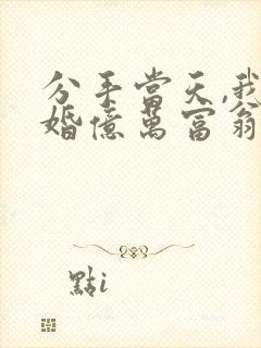 分手当天,我闪婚亿万富翁封面