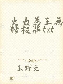 火力为王无错字精校版txt封面