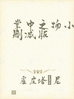 掌中之物小说未删减版