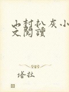 山村扒灰小说全文阅读封面