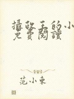 摄政王的小闲妻免费阅读