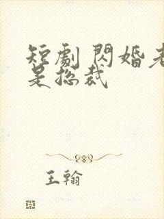 短剧 闪婚老公是总裁