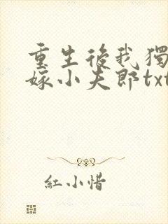 重生后我独宠替嫁小夫郎txt