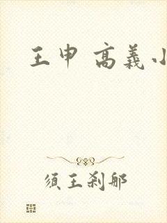 王申 高义小说