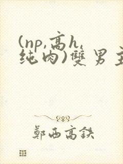 (np,高h,纯肉)双男主