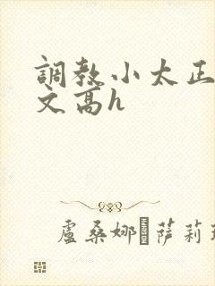 调教小太正肉车文高h