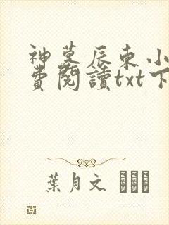 神墓辰东小说免费阅读txt下载