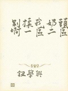 别揉我奶头～嗯啊一区二区