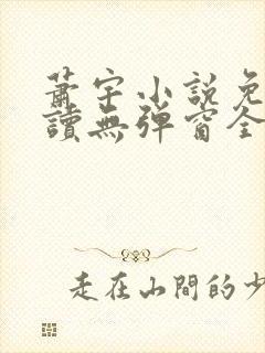 萧宇小说免费阅读无弹窗全文