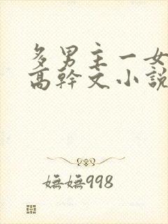 多男主一女主的高干文小说