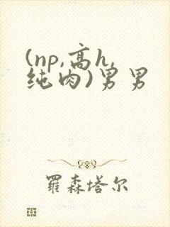 (np,高h,纯肉)男男
