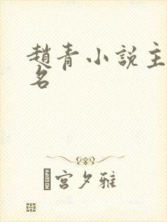 赵青小说主角书名