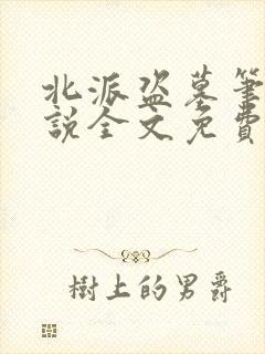 北派盗墓笔记小说全文免费阅读全文封面