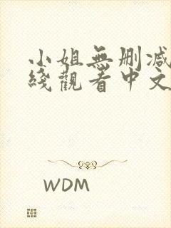 小姐无删减版在线观看中文歌词