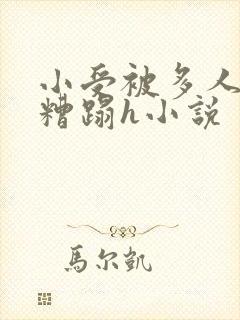 小受被多人强行糟蹋h小说封面
