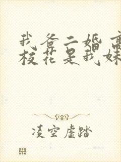 我爸二婚 高冷校花是我妹封面