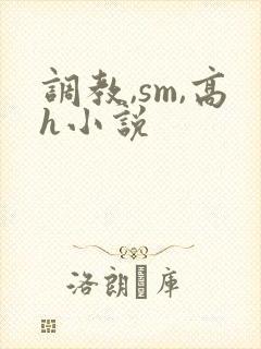 调教,sm,高h小说封面
