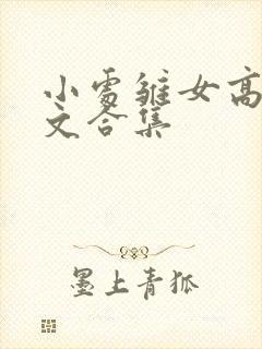 小处雏女高辣h文合集