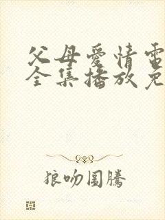 父母爱情电视剧全集播放免费观看封面