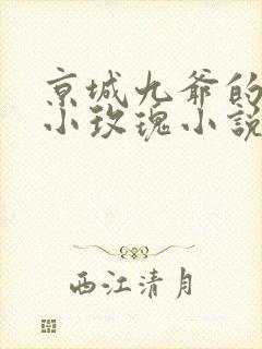 京城九爷的重生小玫瑰小说免费阅读封面