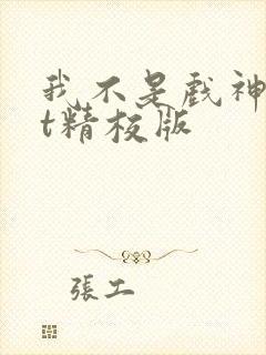 我不是戏神txt精校版