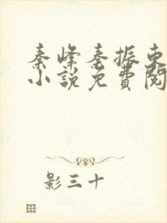 秦峰秦振东主角小说免费阅读官场小说