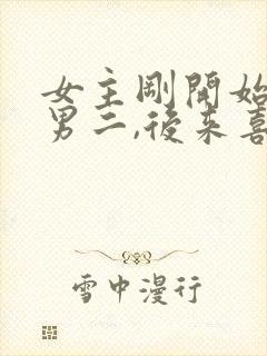 女主刚开始喜欢男二,后来喜欢男主
