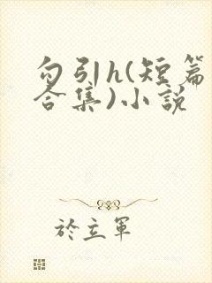 勾引h(短篇肉合集)小说