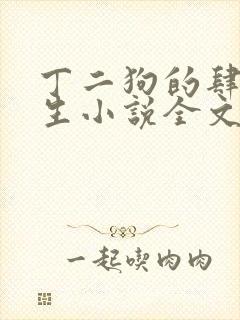 丁二狗的肆意人生小说全文无删减