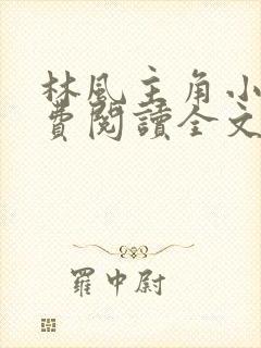 林风主角小说免费阅读全文无弹窗
