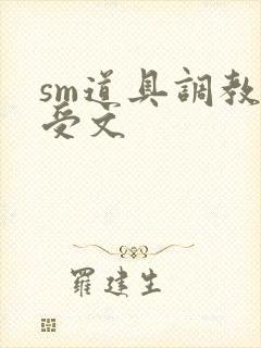 sm道具调教小受文