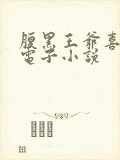 腹黑王爷喜当爹电子小说