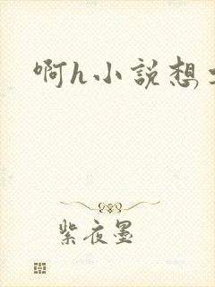 啊h小说想要