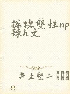 总攻双性np高辣h文
