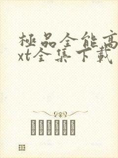 极品全能高手txt全集下载完整版